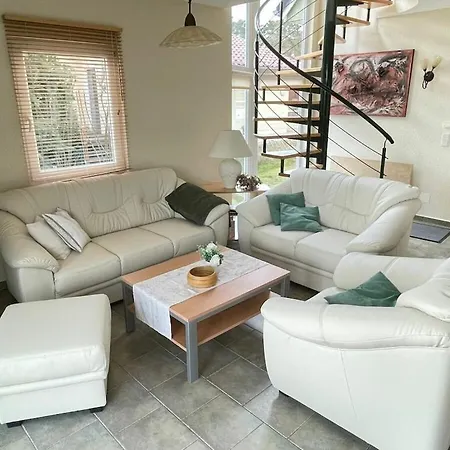 Starfish Comfortable *