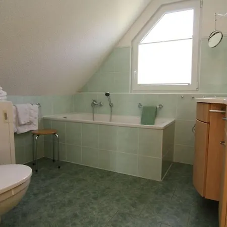 Starfish Comfortable * Quetzin