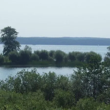 Casa vacanze Starfish Comfortable *