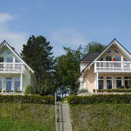 Starfish Comfortable * Quetzin