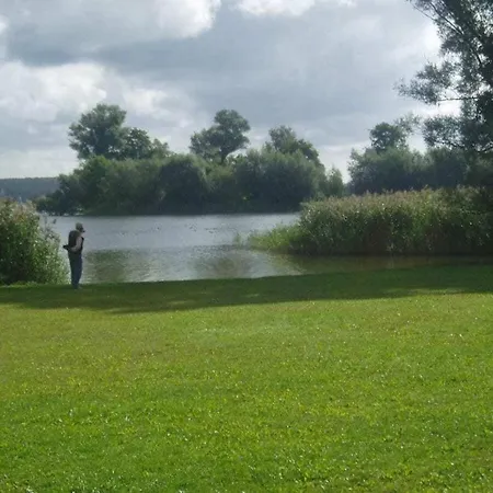 Starfish Comfortable *