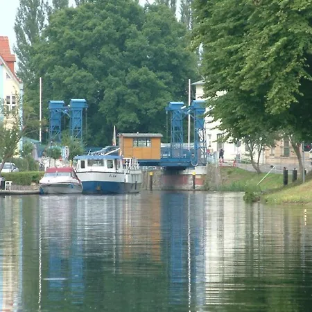 Starfish Comfortable Quetzin