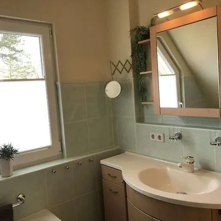 Starfish Comfortable Quetzin