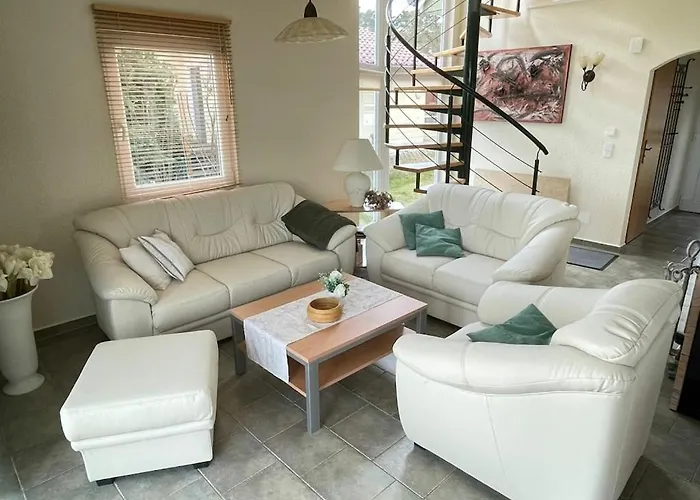 Starfish Comfortable *