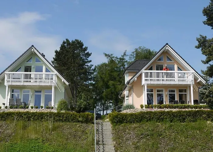 Starfish Comfortable * Quetzin