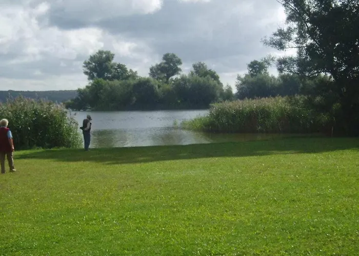 Starfish Comfortable *