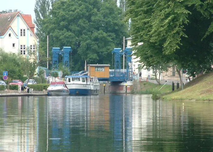 Starfish Comfortable Quetzin