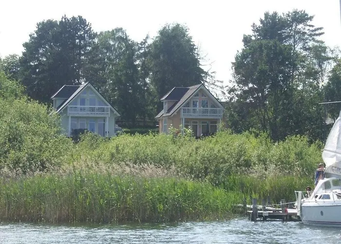 Starfish Comfortable * Quetzin