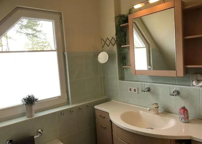 Starfish Comfortable Quetzin